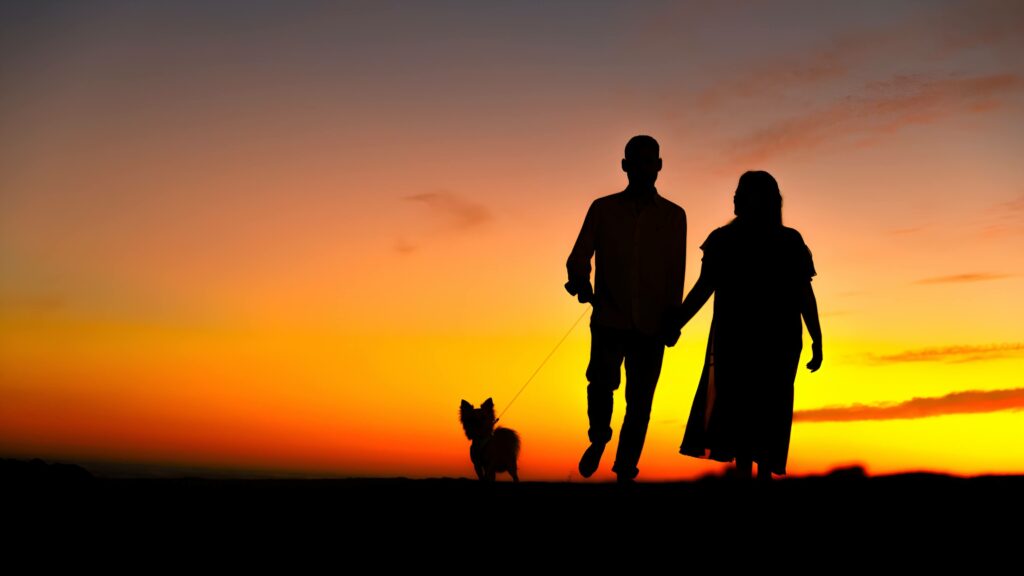 Couple Walking together in the Sunset with Their Dog